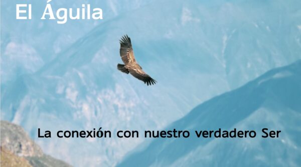 El Aguila – Conexión con nuestro ser